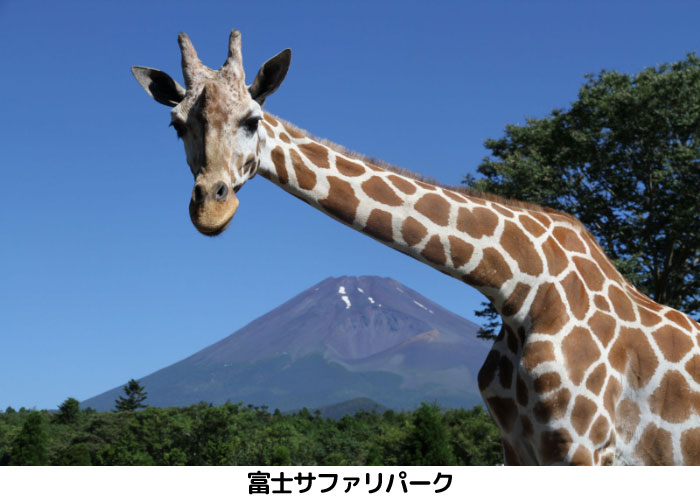 富士サファリパーク