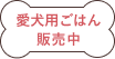 愛犬用ごはん販売中